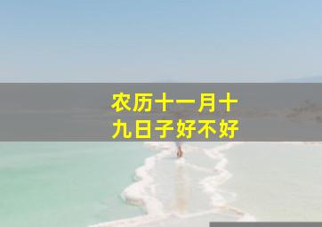 农历十一月十九日子好不好