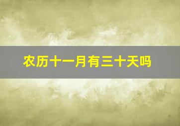 农历十一月有三十天吗