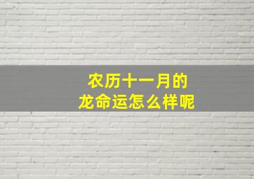 农历十一月的龙命运怎么样呢