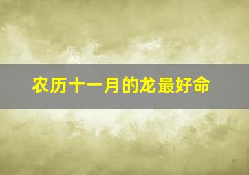 农历十一月的龙最好命