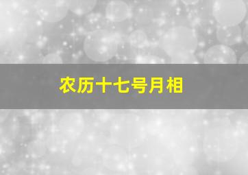 农历十七号月相