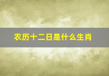 农历十二日是什么生肖