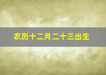 农历十二月二十三出生