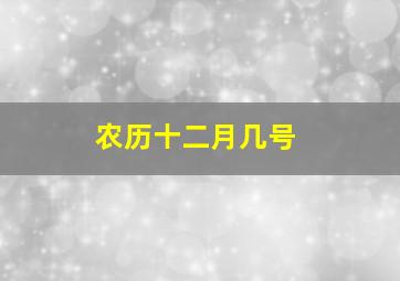 农历十二月几号