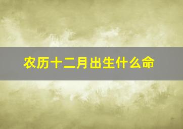 农历十二月出生什么命