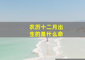 农历十二月出生的是什么命