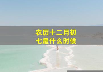 农历十二月初七是什么时候