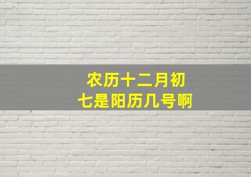 农历十二月初七是阳历几号啊