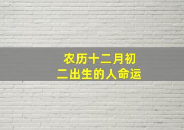 农历十二月初二出生的人命运