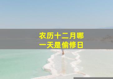 农历十二月哪一天是偷修日