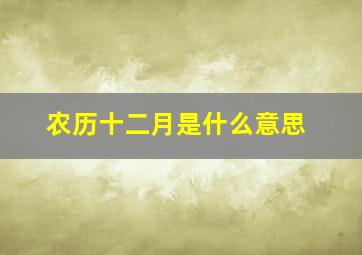 农历十二月是什么意思