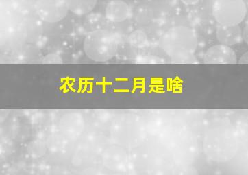 农历十二月是啥