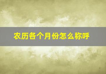 农历各个月份怎么称呼