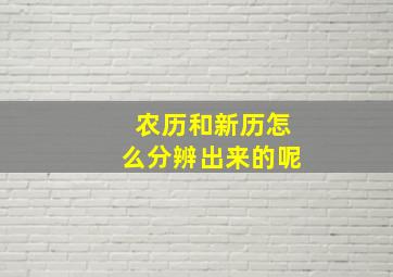 农历和新历怎么分辨出来的呢