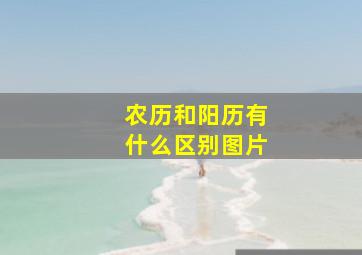 农历和阳历有什么区别图片