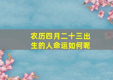 农历四月二十三出生的人命运如何呢