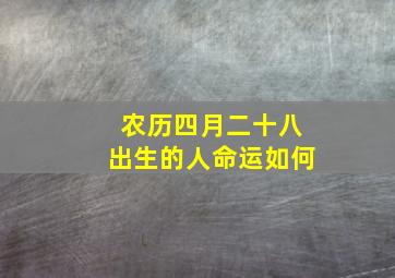 农历四月二十八出生的人命运如何