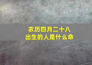 农历四月二十八出生的人是什么命