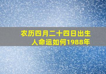 农历四月二十四日出生人命运如何1988年