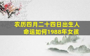 农历四月二十四日出生人命运如何1988年女孩