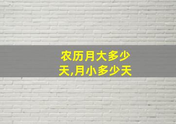 农历月大多少天,月小多少天