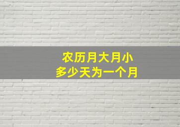 农历月大月小多少天为一个月