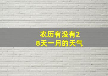 农历有没有28天一月的天气