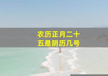 农历正月二十五是阴历几号