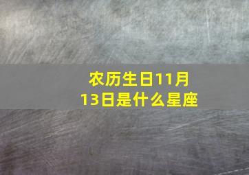 农历生日11月13日是什么星座