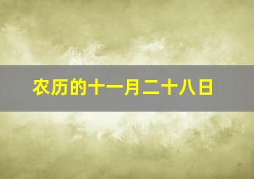 农历的十一月二十八日