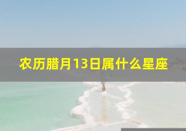 农历腊月13日属什么星座