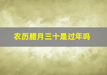 农历腊月三十是过年吗