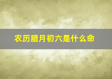 农历腊月初六是什么命