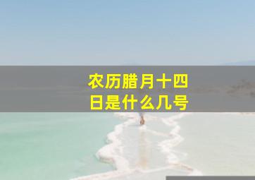 农历腊月十四日是什么几号