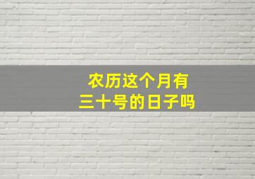 农历这个月有三十号的日子吗