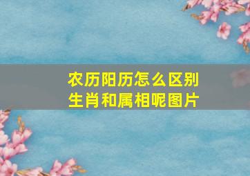 农历阳历怎么区别生肖和属相呢图片