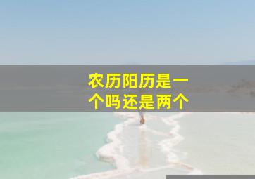 农历阳历是一个吗还是两个