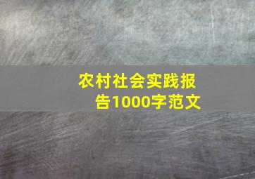 农村社会实践报告1000字范文