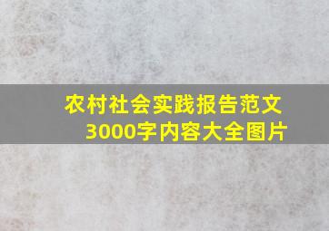 农村社会实践报告范文3000字内容大全图片