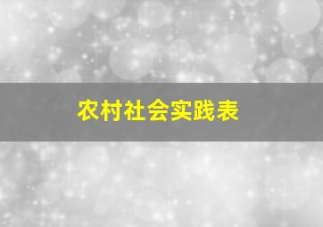 农村社会实践表