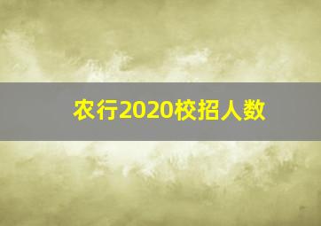 农行2020校招人数