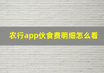 农行app伙食费明细怎么看