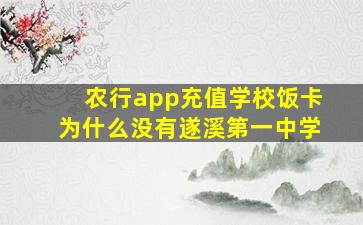 农行app充值学校饭卡为什么没有遂溪第一中学