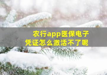 农行app医保电子凭证怎么激活不了呢