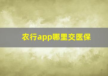 农行app哪里交医保