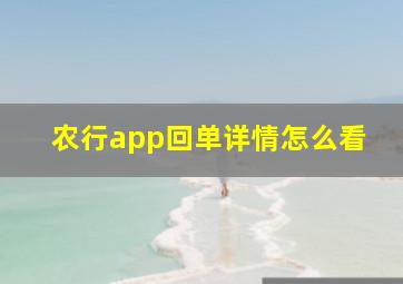 农行app回单详情怎么看