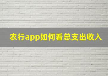 农行app如何看总支出收入