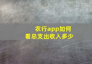 农行app如何看总支出收入多少