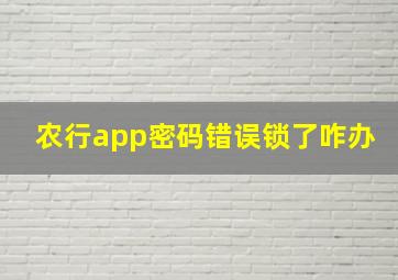 农行app密码错误锁了咋办