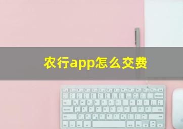 农行app怎么交费